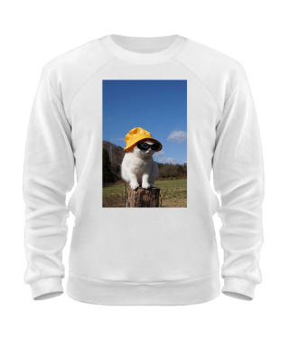 Світшот Кіт (мем) №4