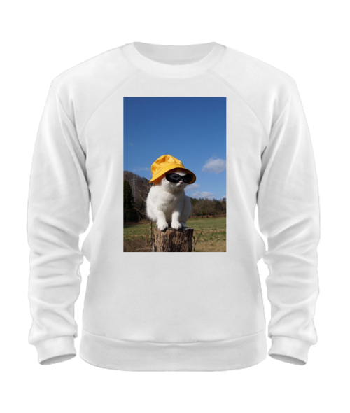 Світшот Кіт (мем) №4