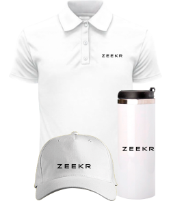 Комплект чоловічий преміум "Оксамит" ZEEKR літо №2