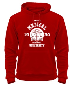 Толстовка-худі ДНМУ