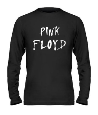 Мужской Лонгслив Pink Floyd