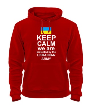 Толстовка-худи Keep calm we are protected