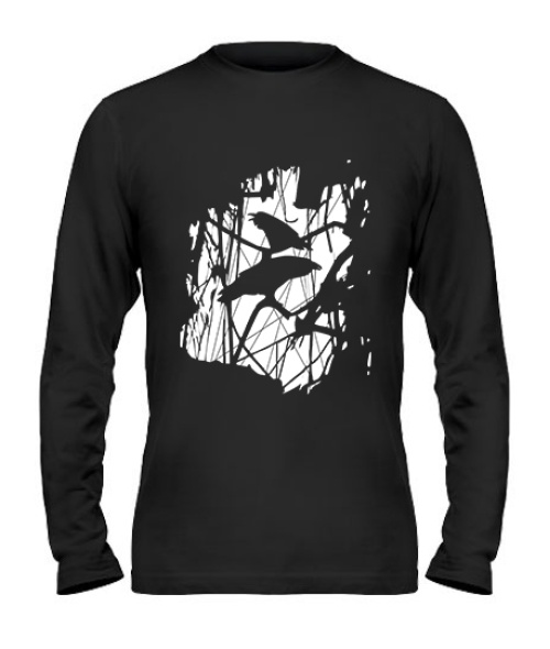 Чоловічий лонгслів Ворони